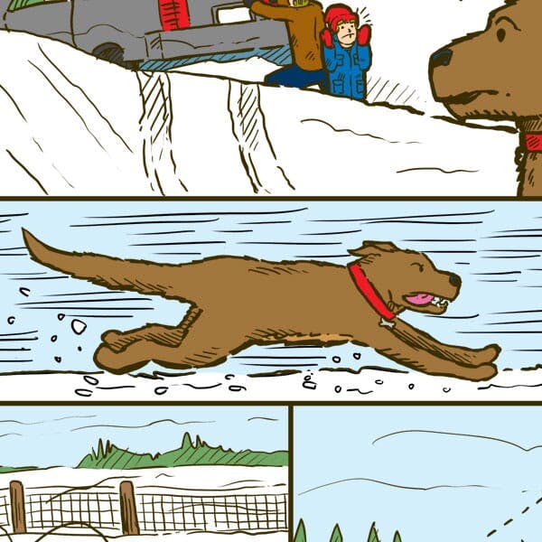 Ruffy, the worl"ds most worthless dog, races off to help his owners who are trapped in the snow.