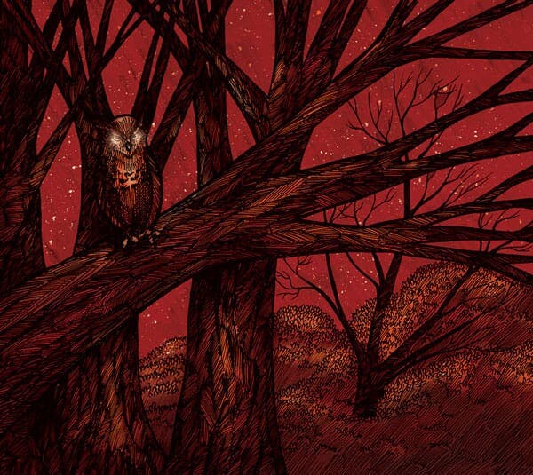 A owl with glowing eyes for the inside right cover art of For Our Hero's 'Afterglow' EP