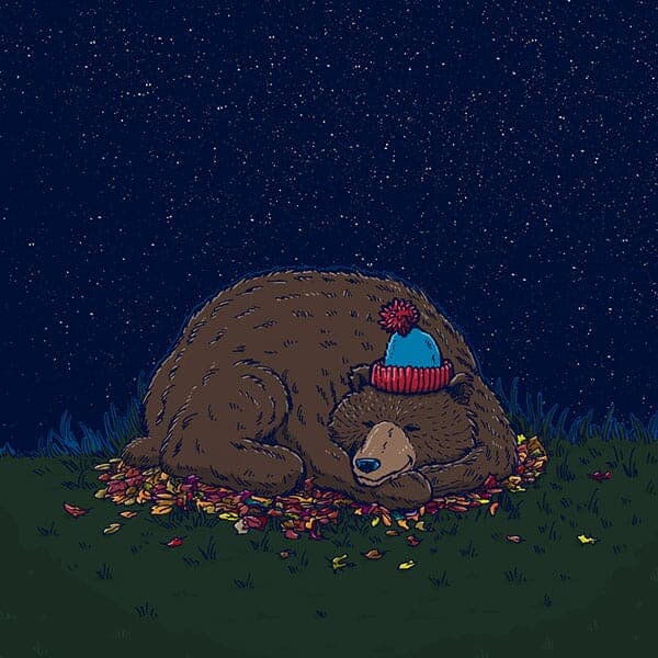 A sleepy bear hunkers down for the Winter.