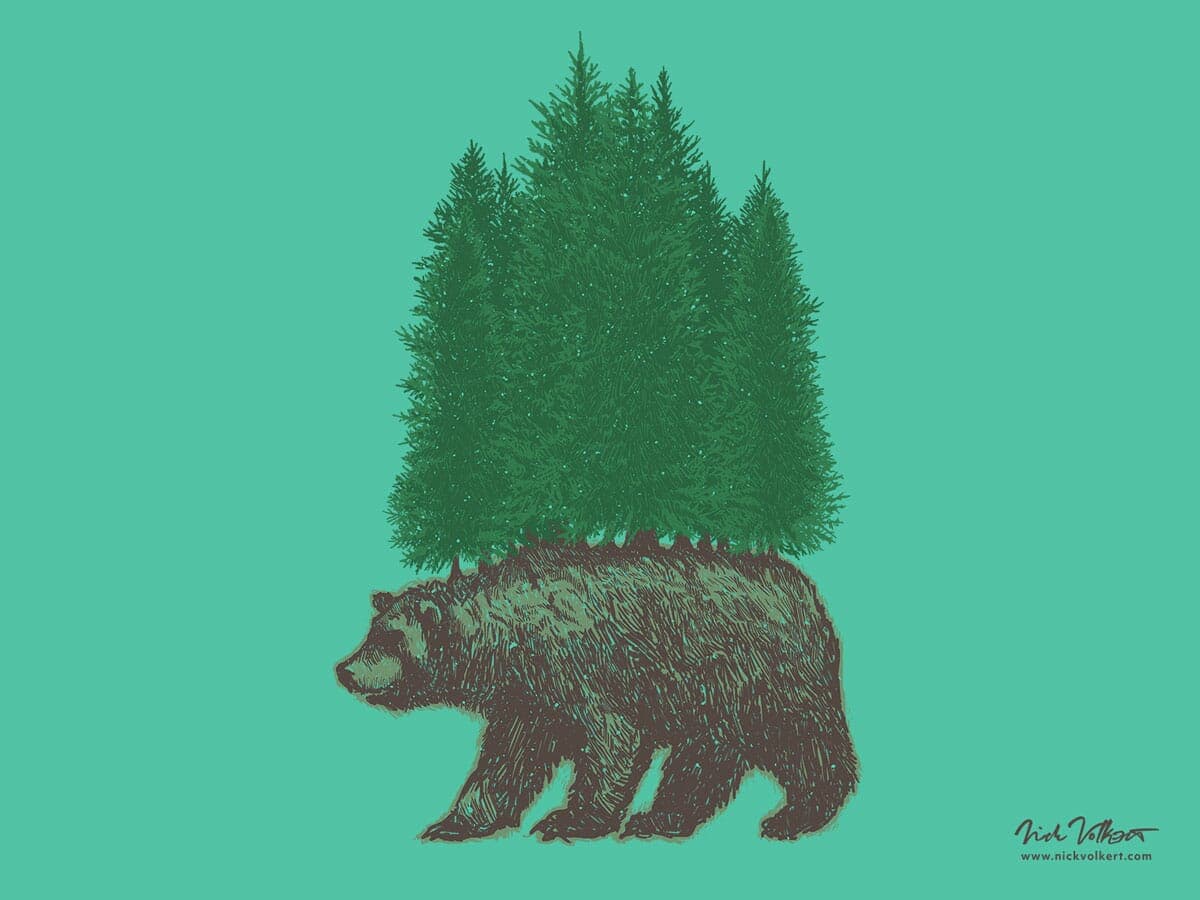 A grizzly bear with a pine foreset on its back walking.