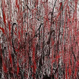 A square-shaped painting on canvas with red, black, and white with latexy acrylic paint as the medium.