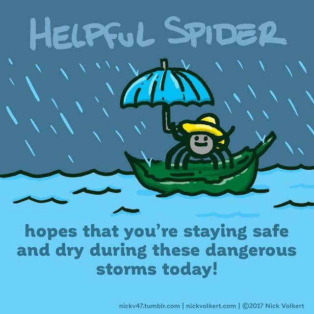 Helpful Spider is riding a leaf on water during a storm.