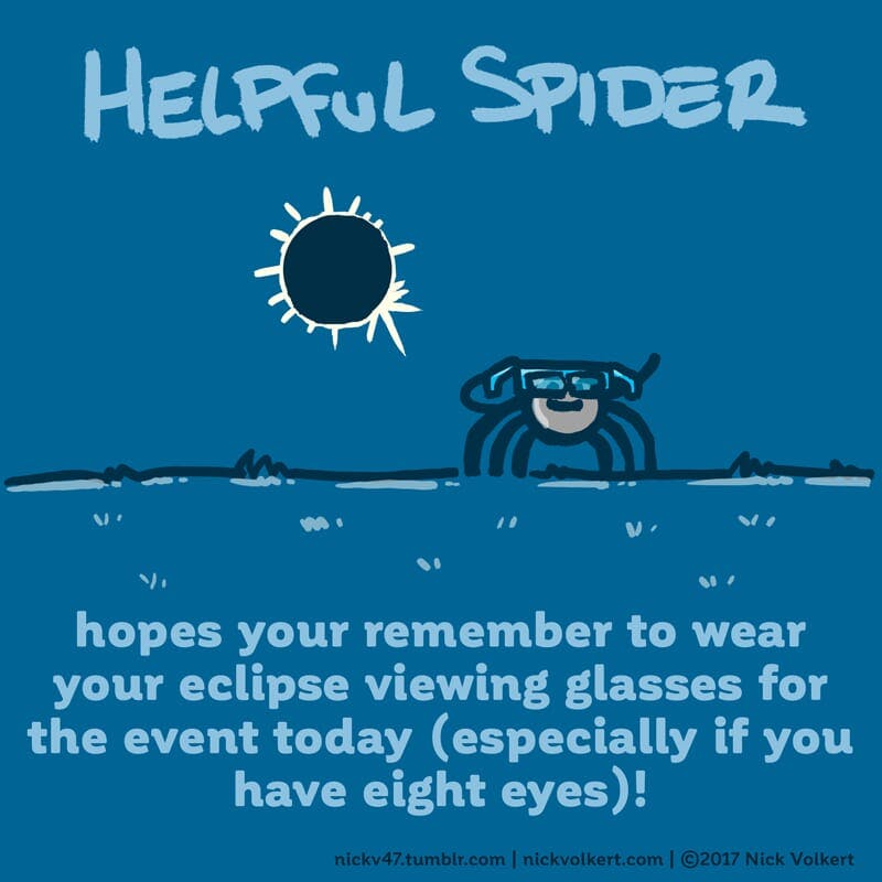 Helpful Spider is watching an eclipse.