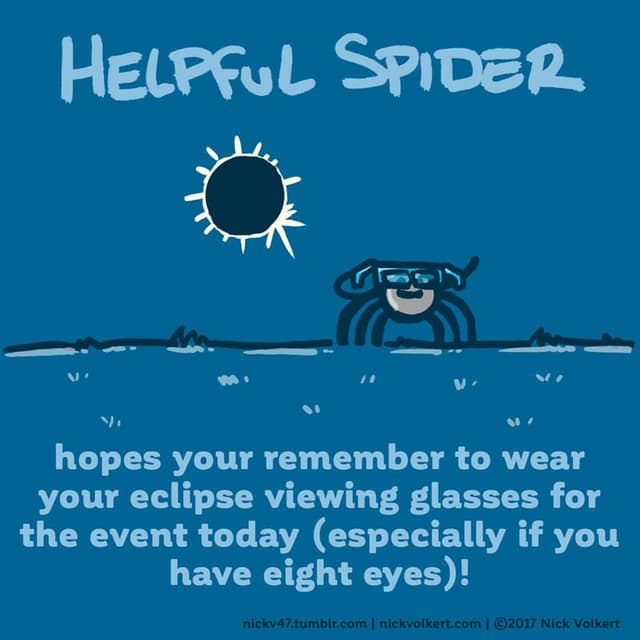 Helpful Spider is watching an eclipse.