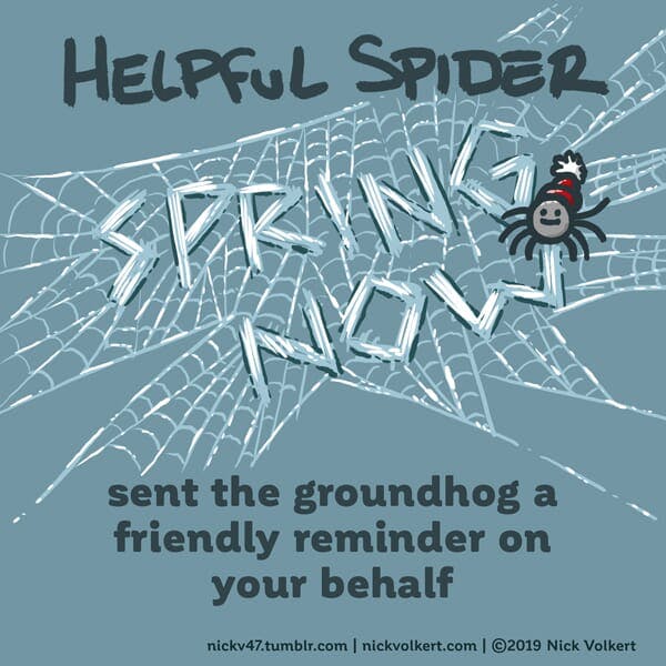 Helpful Spider weaves a web that says 'spring now'.