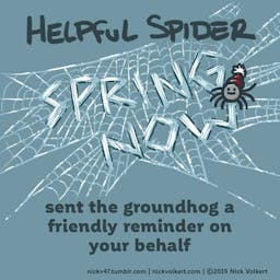 Helpful Spider weaves a web that says 'spring now'.