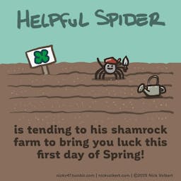 Helpful Spider is tending a shamrock garden.
