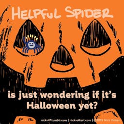 Helpful Spider is standing in a jack o lantern.