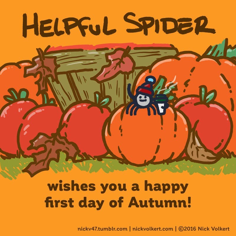 Helpful Spider is on a pumpkin with a coffee!