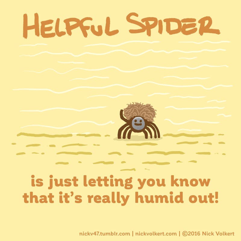 Helpful Spider's hair is super poofy because of the humidity!