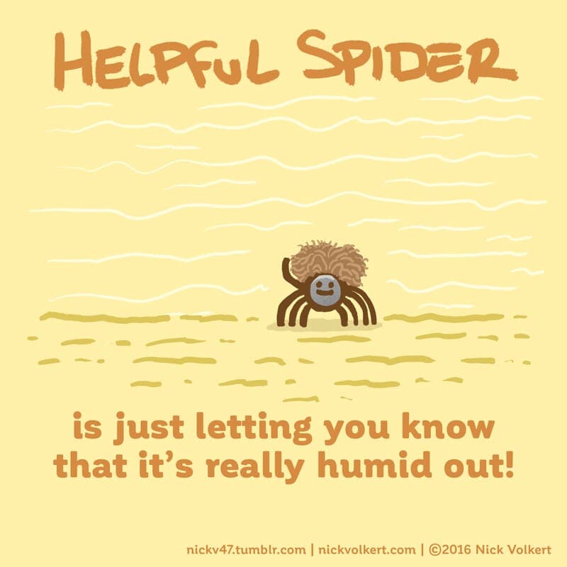 Helpful Spider's hair is super poofy because of the humidity! - Part 1