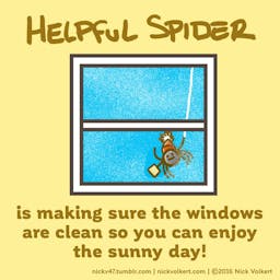 Helpful Spider is cleaning a dirty window on a sunny day.