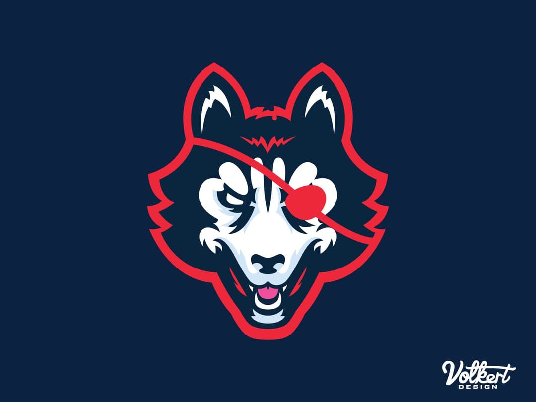 The main illustrated huskie head DangerHuskie logo on a dark navy background.