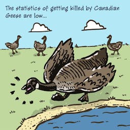Canadian geese aren't very likely to kill you, but they just may be able to, as this Monday comic suggests.