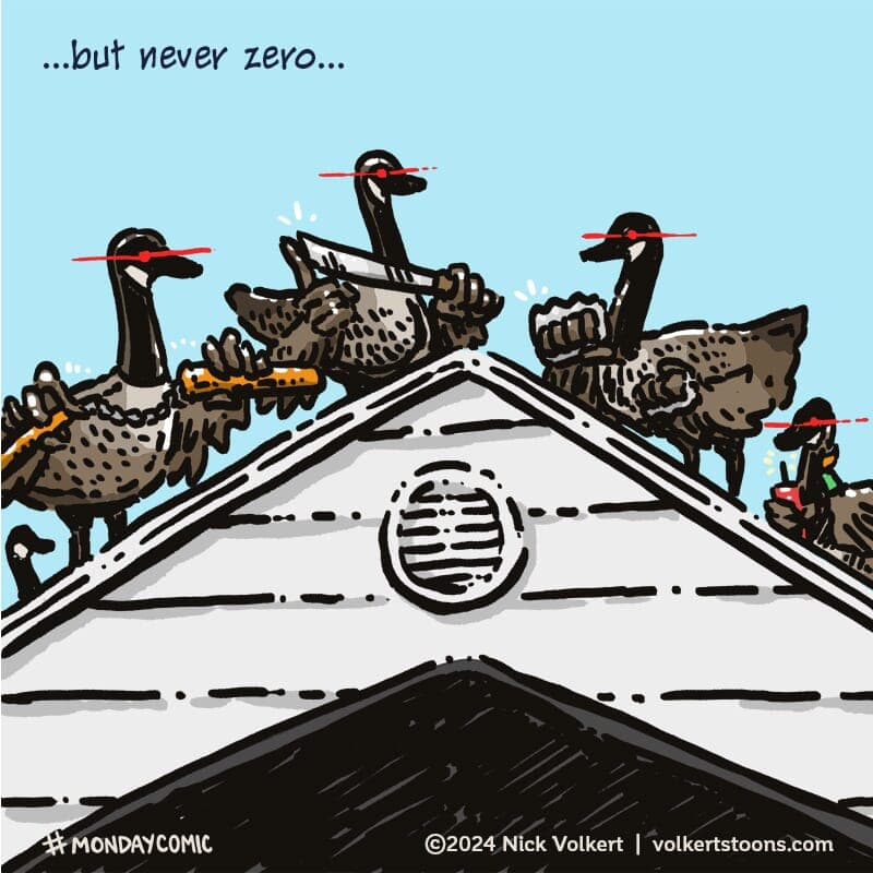 Canadian geese aren't very likely to kill you, but they just may be able to, as this Monday comic suggests.