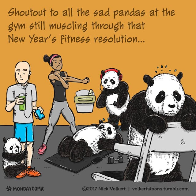 Sad pandas cling to healthy gym goers.