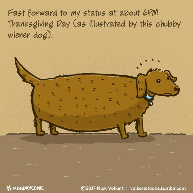 A wiener dog is uncomfortable after eating too much food. - Part 1