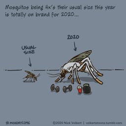 A mosquito from 2020 against a mosquito any other year.