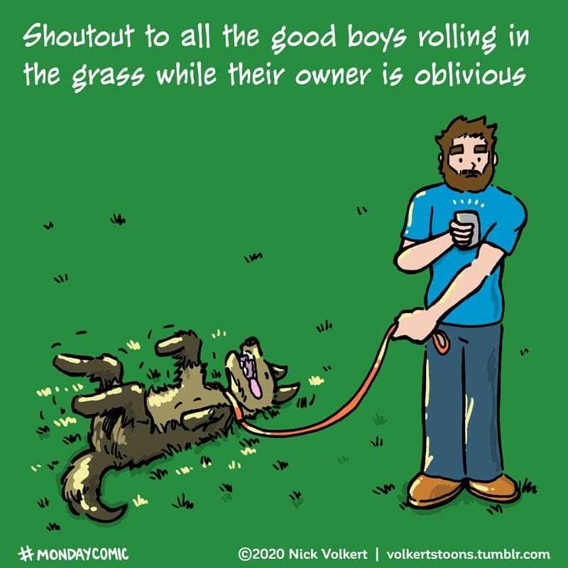 A dog rolls in the grass while his owner is oblivious - Part 1