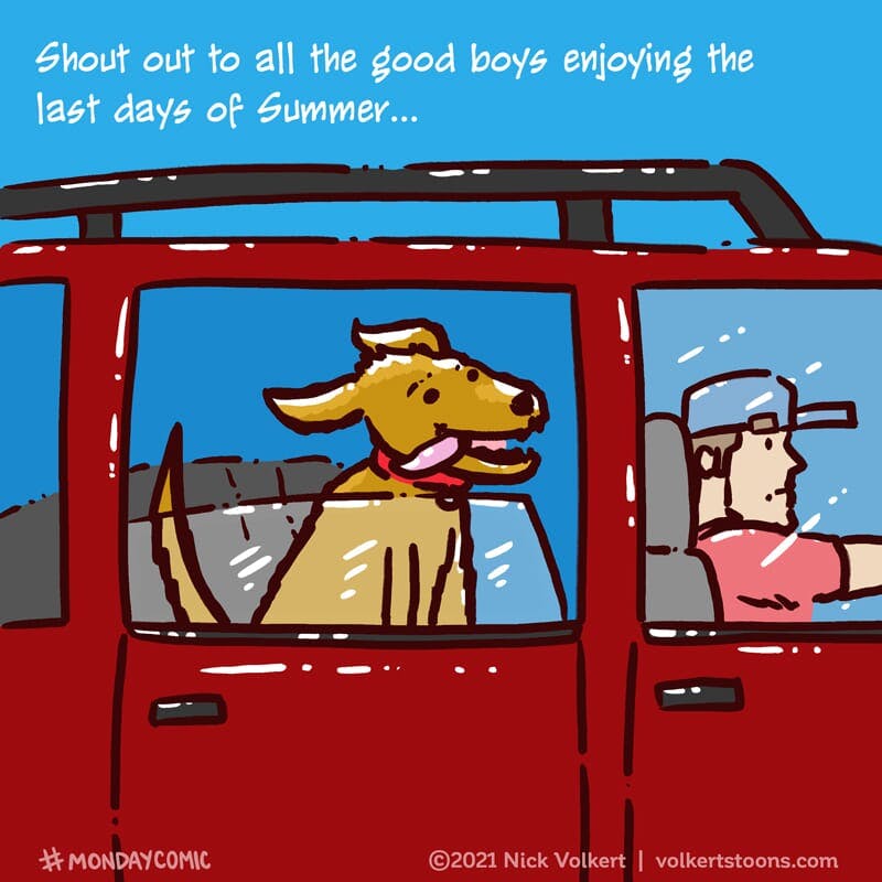 A dog puts its head out of the window during a car ride.