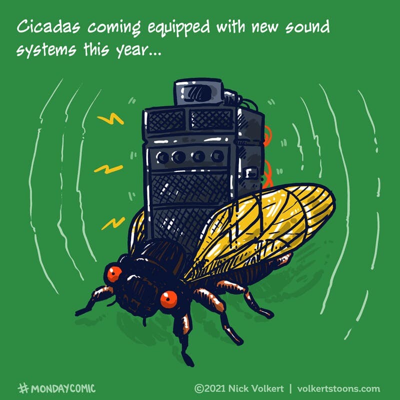 A cicada blasting a full sound system.