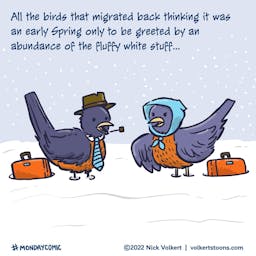 An old bird couple bickers over snow being on the ground after traveling back for the Spring.