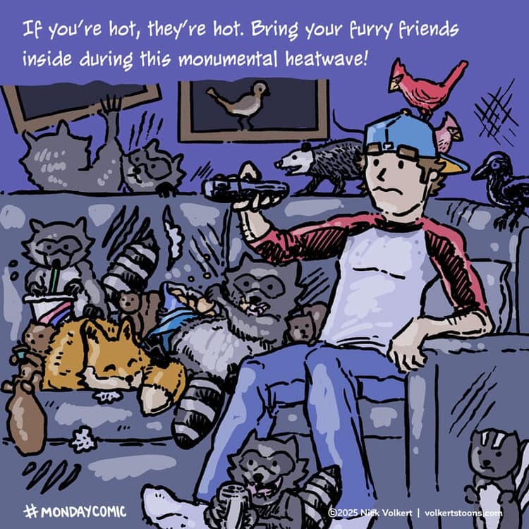 A local Midwestern man brings in some of the creatures of the forest to cool off and watch a movie togther.