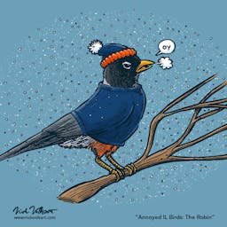 An annoyed robin perched on a branch while is snows around him, wearing a stocking cap and crewneck