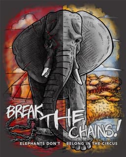 A split view of an elephant enslaved at a circus environment in chains, against a view of a healthy elephant in the wild in Africa.