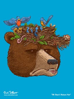 An annoyed grizzly bear deals with springtime birds making him a hat that serves as their nest.