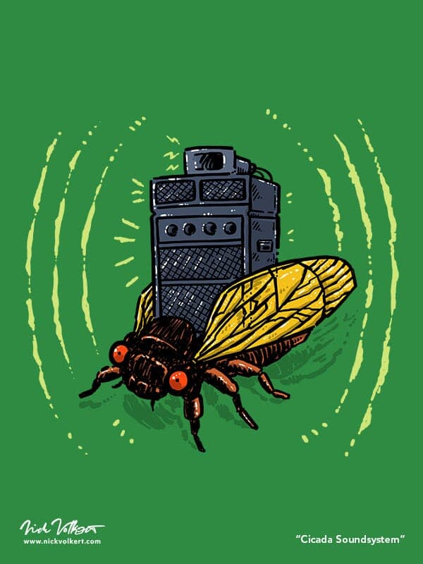 A cicada equipped with a stack of speakers let's its droning go full blast.