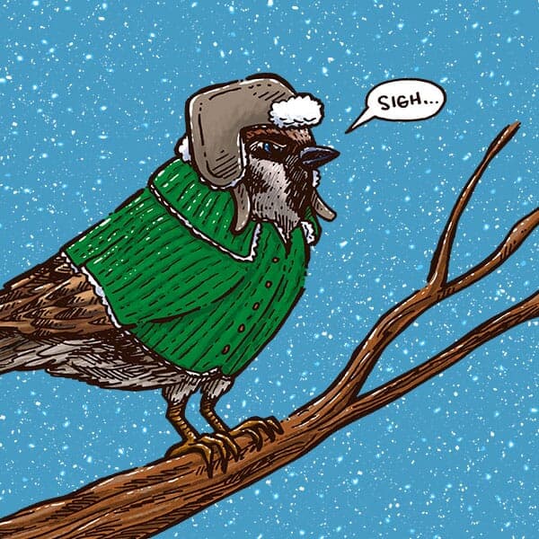 An annoyed sparrow perched on a branch in the Midwest, surrounded by snow.