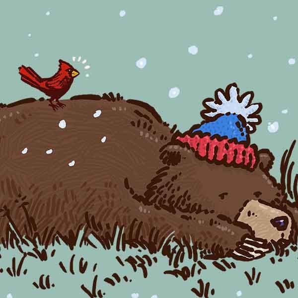 A grizzly bear is all tuckered out in a patch of grass while a red cardinal is perched on its back.