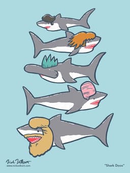 A collection of sharks with various haircuts.