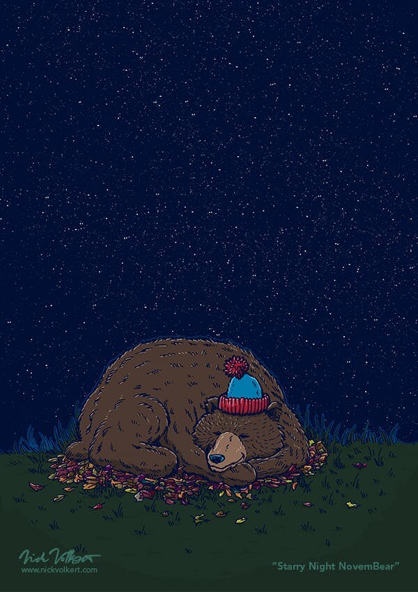 A bear with a stocking cap sleeps under a starry night sky.