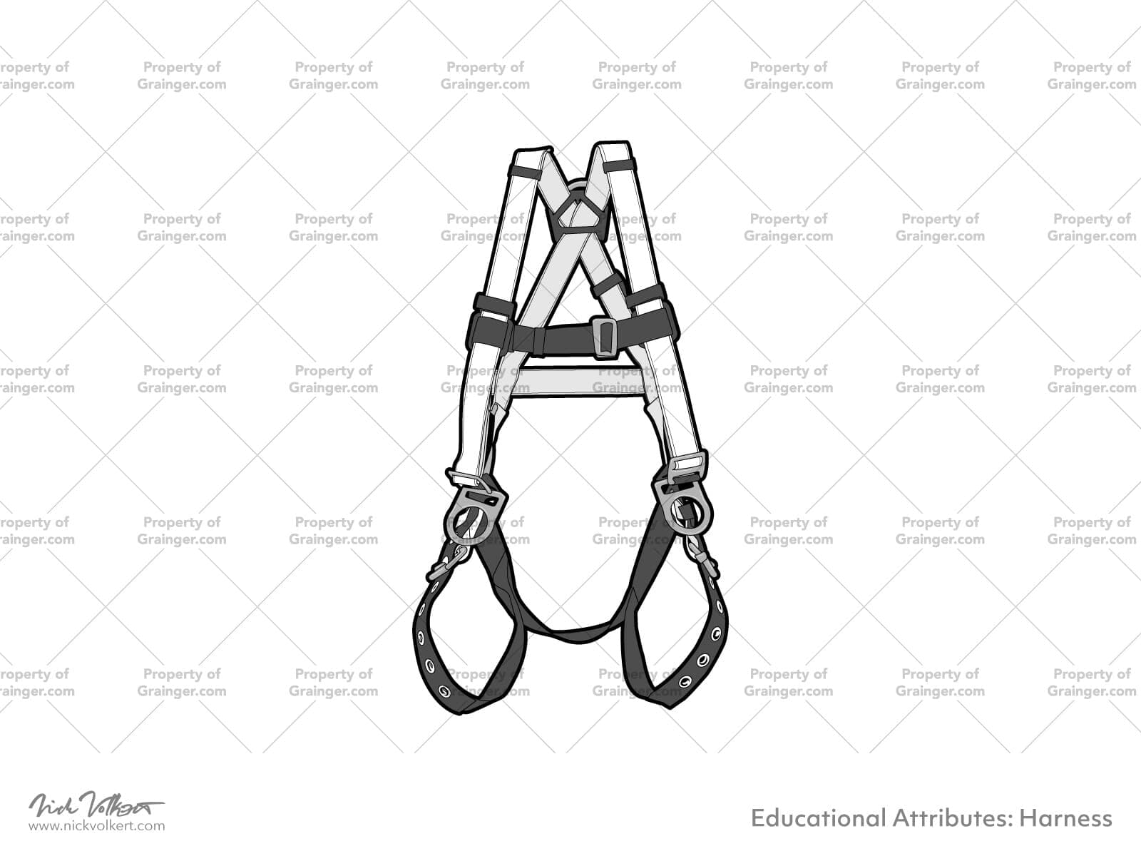 A selection of a technical line art drawing of a safety harness in grayscale for search and browse graphic for Grainger dot com.