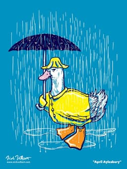 April Aylesbury | Nick Volkert An annoyed duck dressed in a raincoat and umbrellas avoiding the rain.