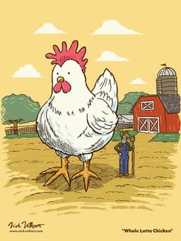 Whole Lotta Chicken | Nick Volkert An extremely large chicken stands oblivious to its much smaller farmer owner.