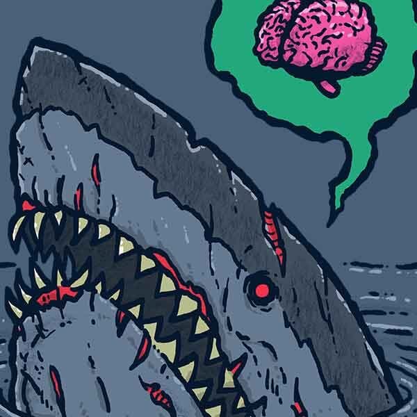 Zombie Shark II | Nick Volkert A shark peaks out of the water in bad shape looking horrifying and looking for brains.